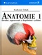 Anatomie 1.